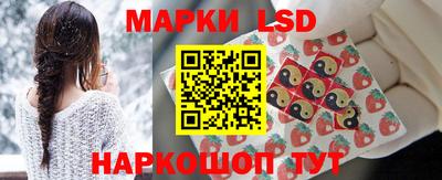 стаф Майкоп
