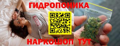 стаф Майкоп