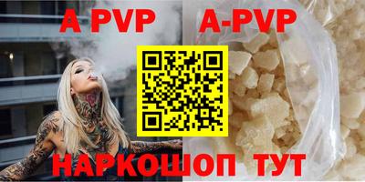 стаф Майкоп