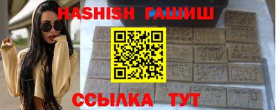 стаф Майкоп