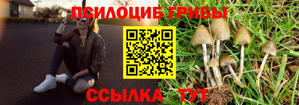 купить   Псилоцибиновые грибы прущие грибы  Вход с VPN  Выкса 